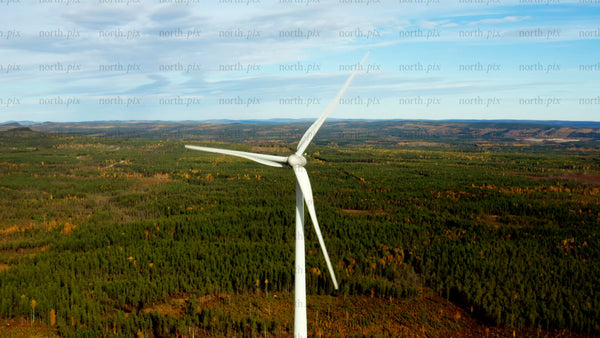 Markbygden wind farm: Aerial view of sustainable energy in summer
