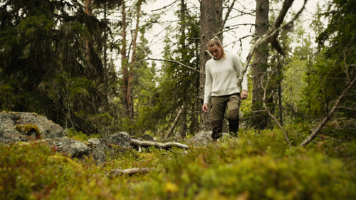 Kvinna plockar bär i Luleå skärgårdsskog en molnig sommardag