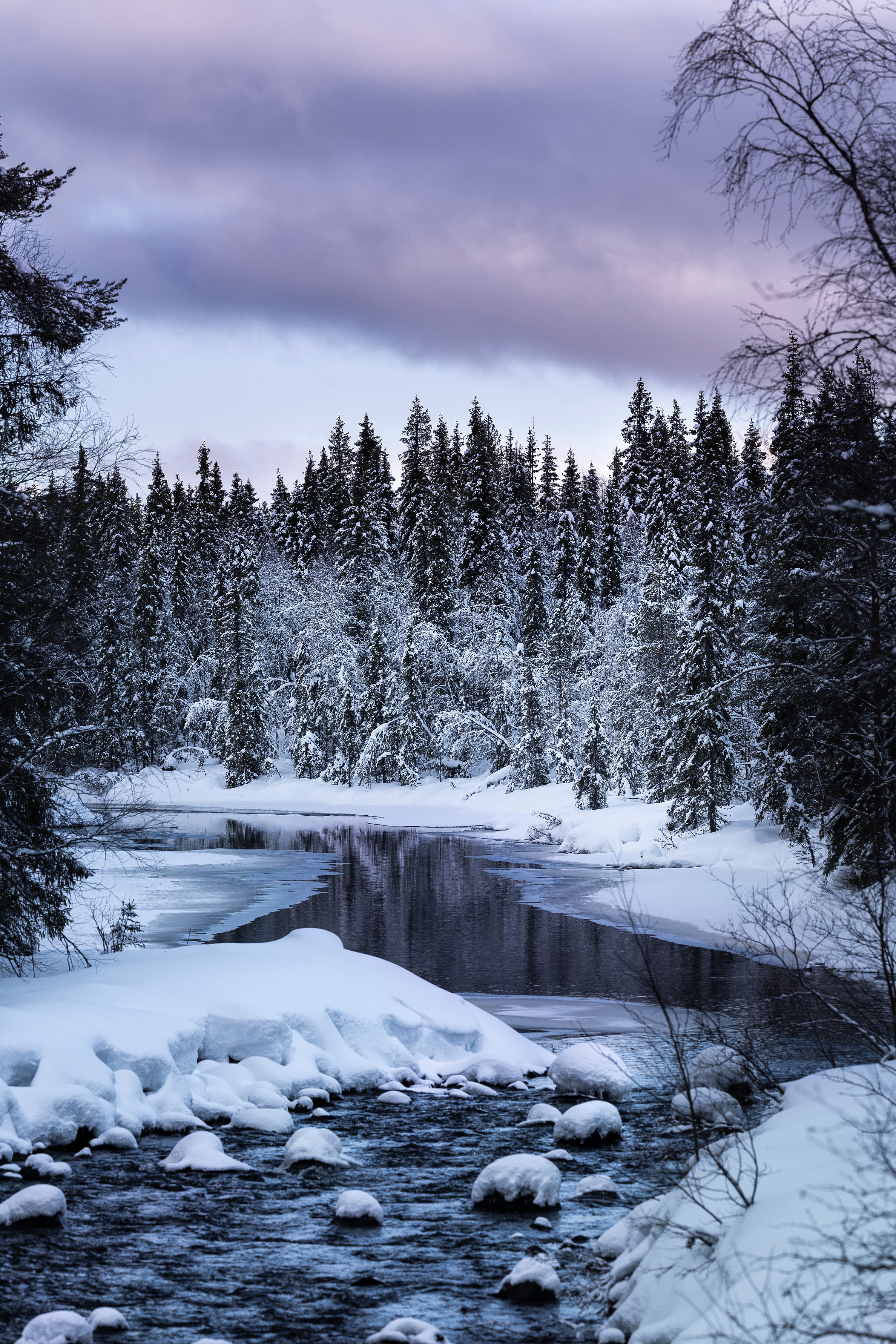Snow-covered river winding through spruce forest at twilight