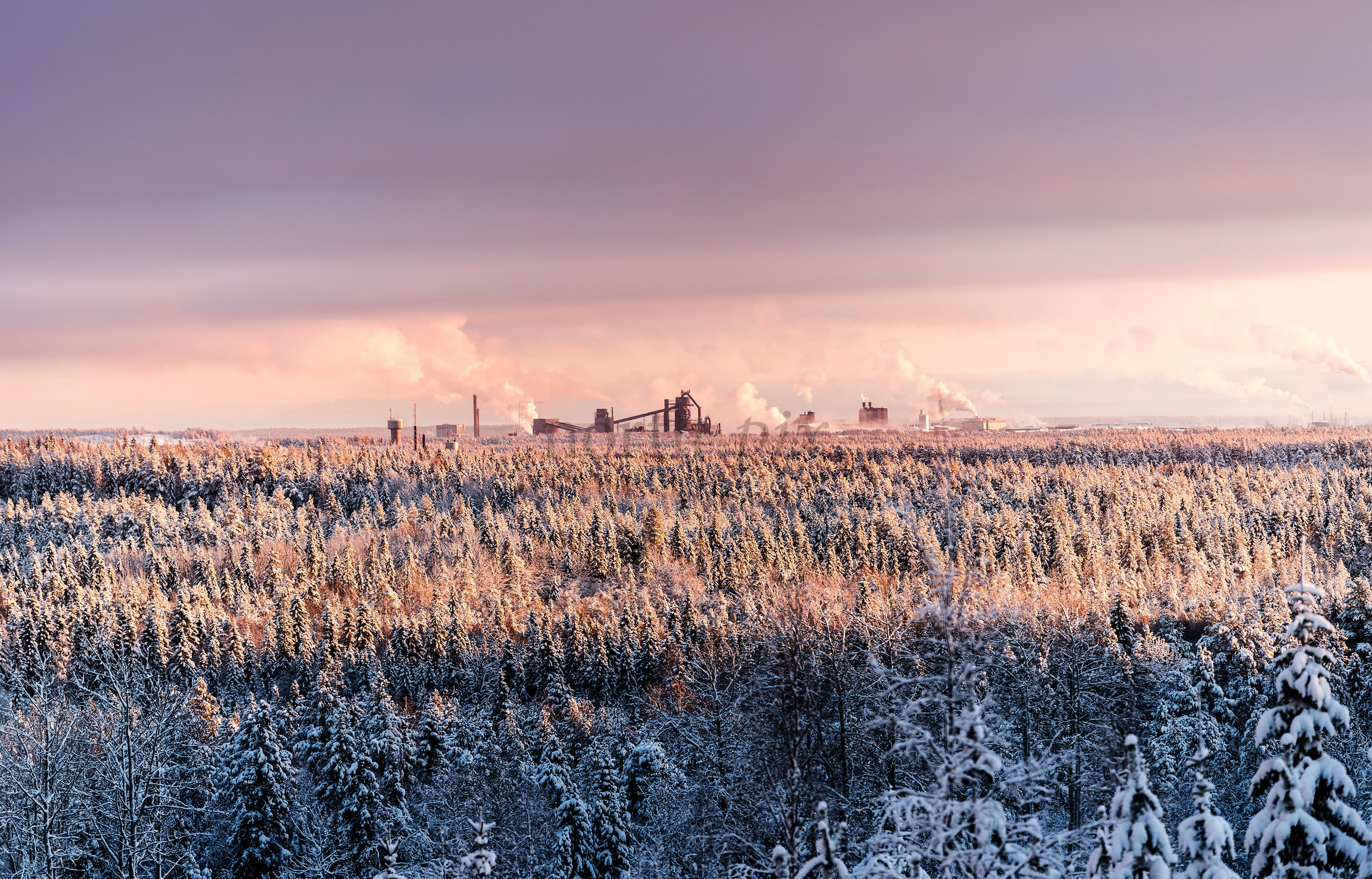 Industrial plant beyond snowy forest at sunrise