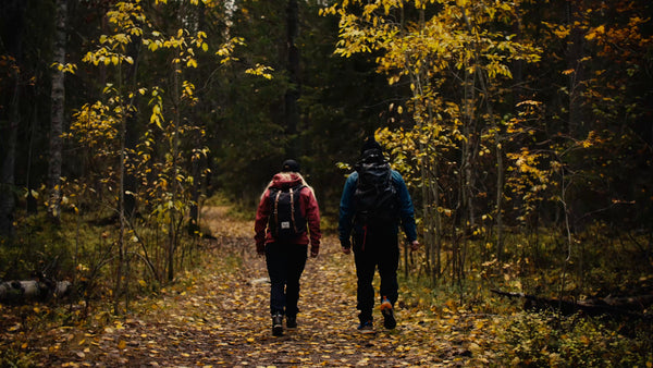 Autumn hike in Luleå: Two people walking on a forest trail