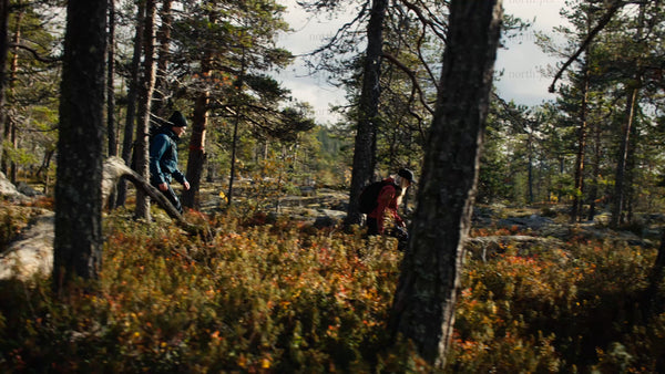 Autumn hike in Luleå: Exploring the forest trails of Bällingeberget