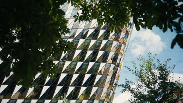 Modern wood architecture building through leaves, slow pan upwards