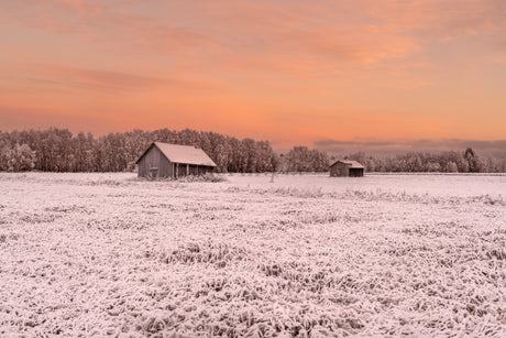 Snow Covered Barns In Winter Field At Pink Sunrise Over Frosty Rural Landscape