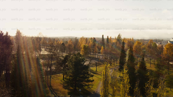 Aerial view of autumn city landscape with golden trees and sunny day