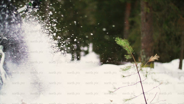 Fatbike Riding Through Snowy Forest in Luleå, Sweden: Winter Adventure
