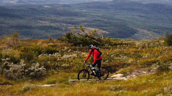 Mountain biker rides downhill on scenic mountain trail