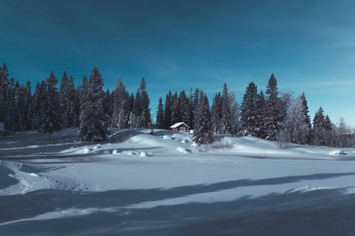 Cabin in snow among pine forest at night