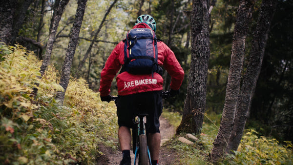 Mountain biker rides downhill trail in summer woods