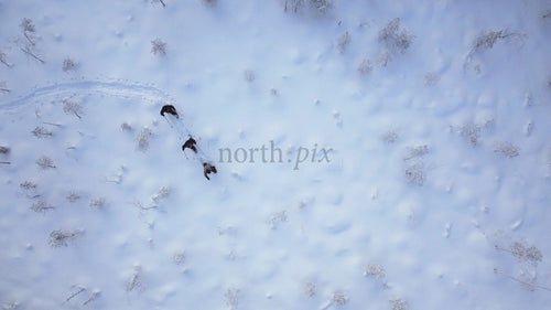 Flygfoto över människor som vandrar snöskor i Gunnarsbyn, Sverige