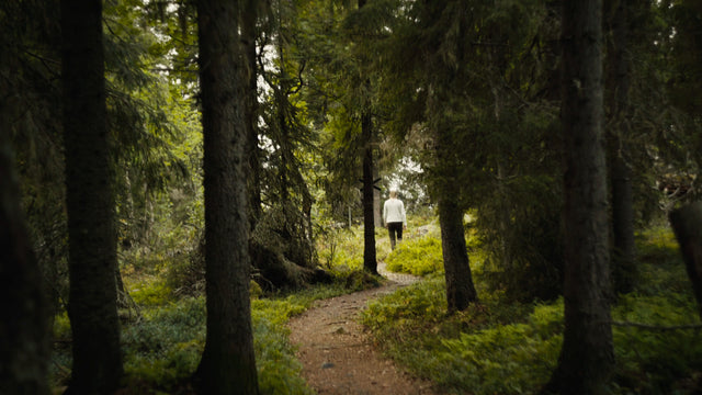 Summer hike in Luleå: Person walks forest path