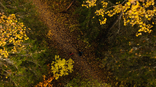Autumn forest hike in Luleå: Aerial drone follows two hikers