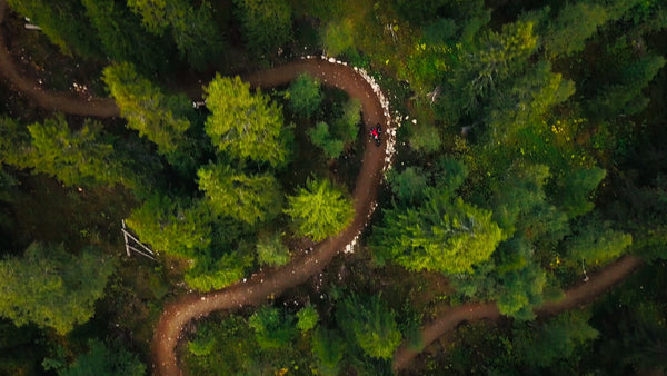 Mountain biker on downhill forest trail in summer