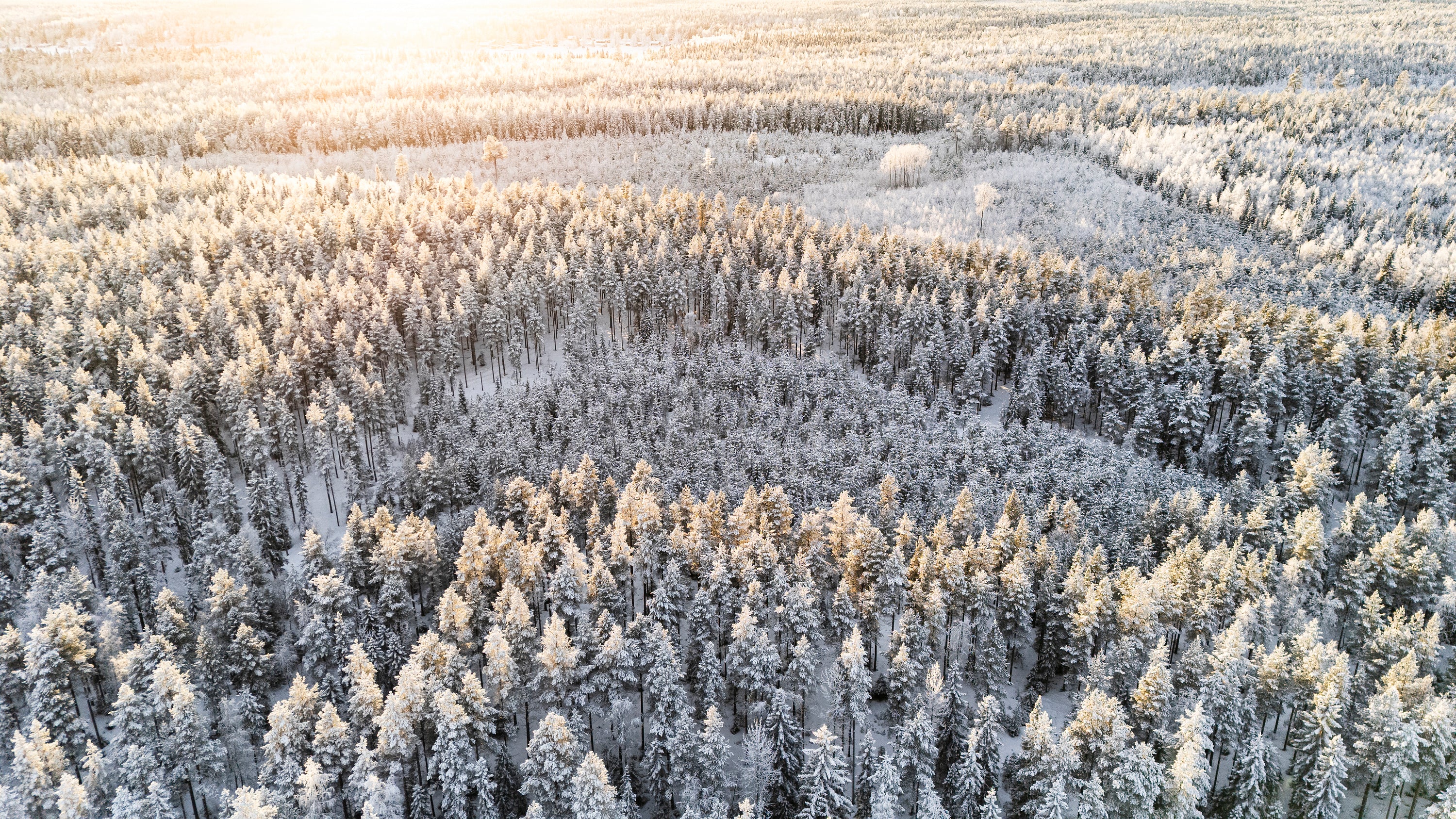 DJI_20260127142631_0010_D.jpg