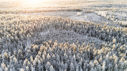 DJI_20260127142631_0010_D.jpg