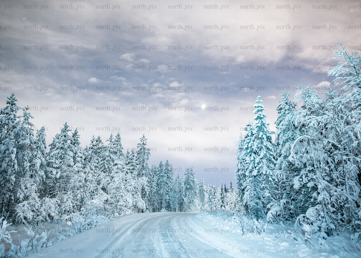 Snow-covered forest road in winter evening under cloudy sky