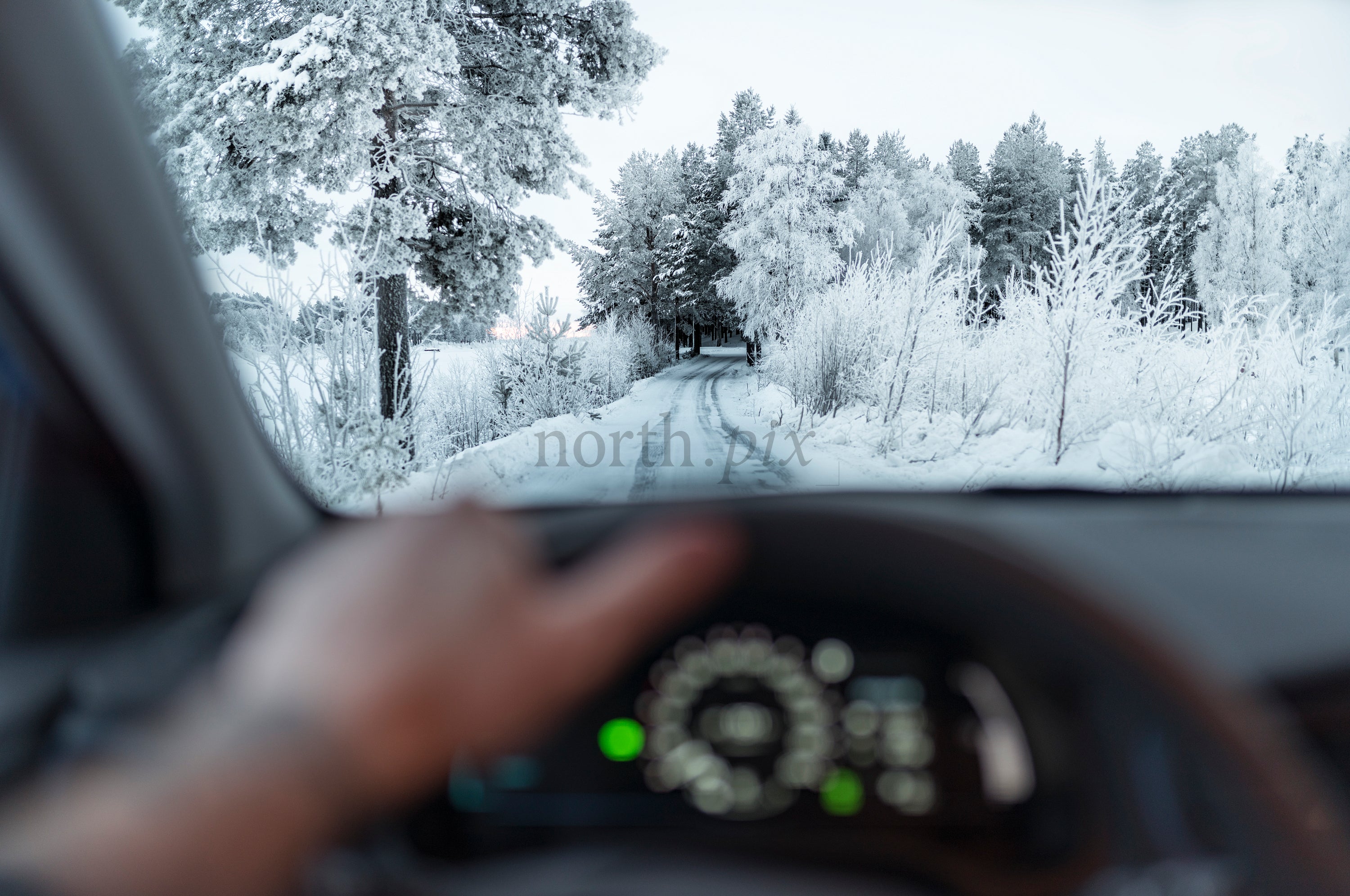 Driver view of snowy forest road, winter morning