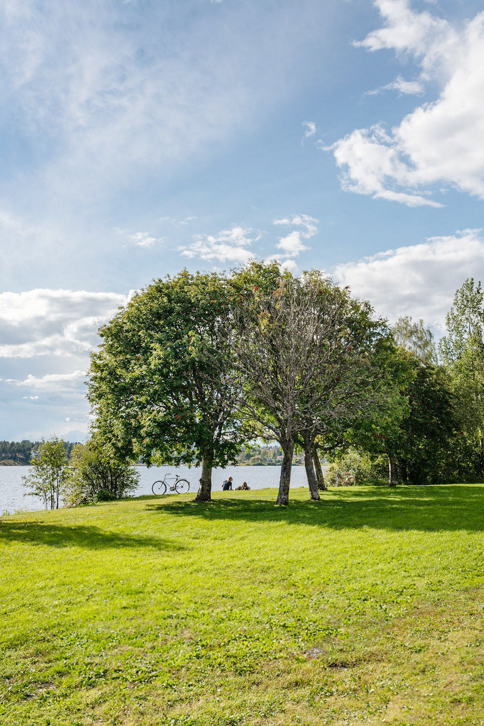 People sitting by lake under trees on summer afternoon