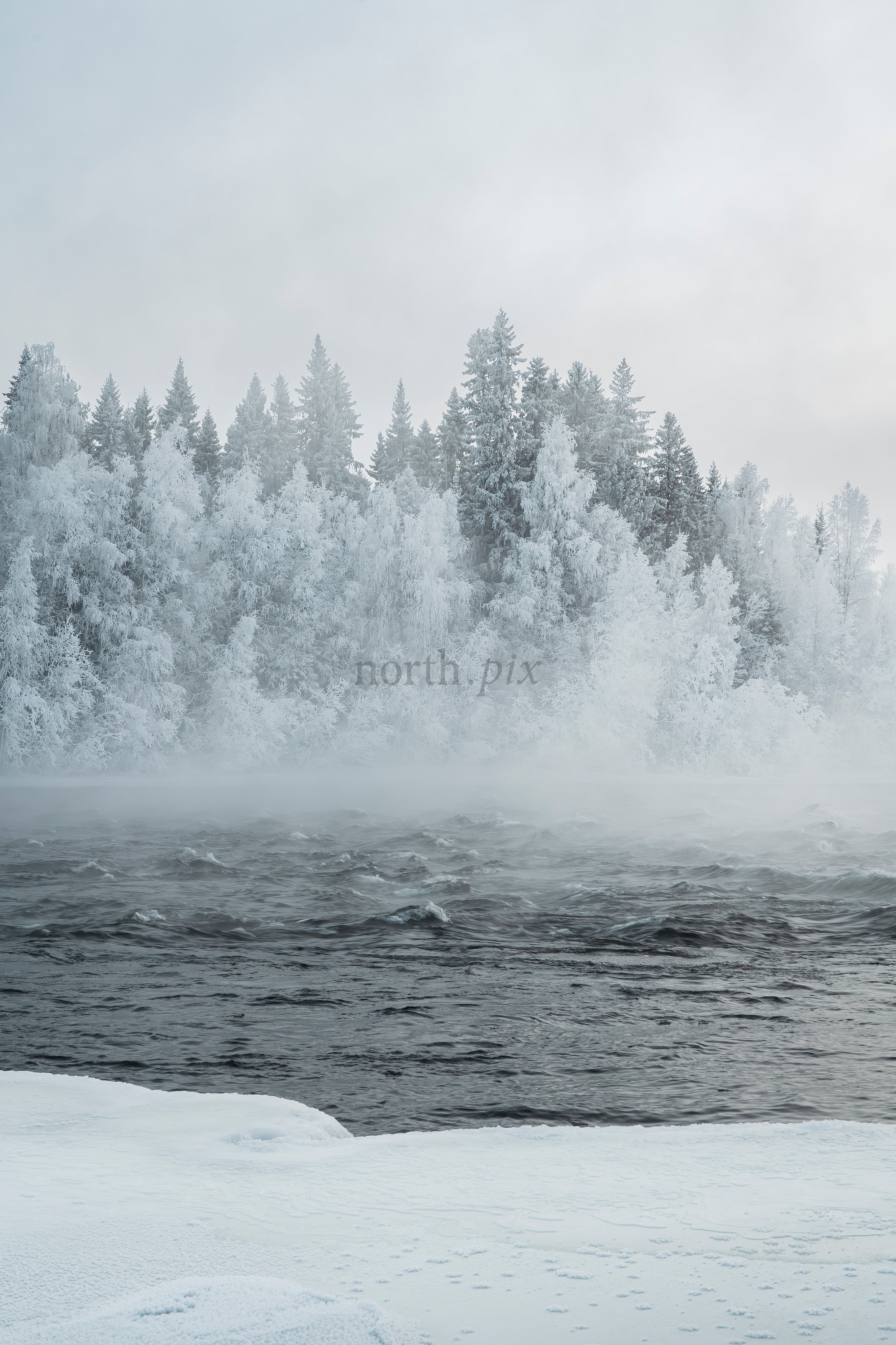 Frozen river with frosted forest and morning mist