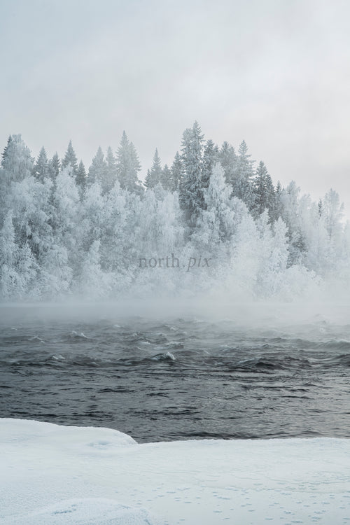 Frozen river with frosted forest and morning mist