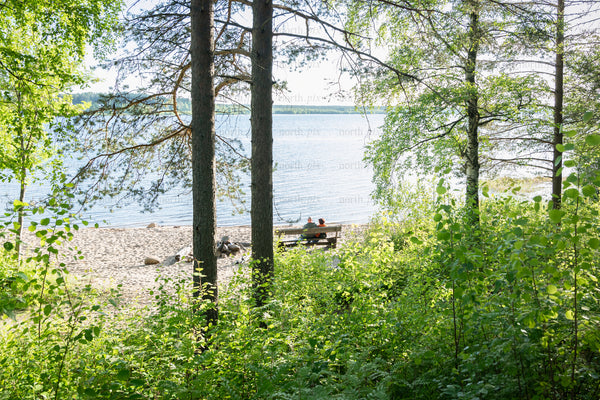 Couple on bench by lake shore in summer