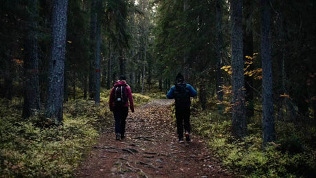 Autumn Hike in Luleå, Sweden: Two People Explore Forest Trail on Bälingeberget
