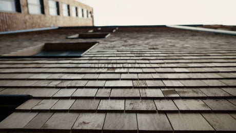 Modern Wood Shingle Building Facade: A Low Angle Tracking Shot