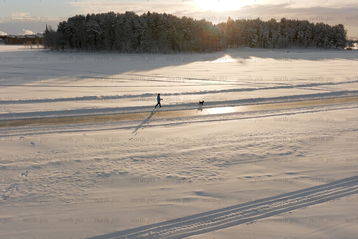Snowy field near Luleå city center with walker and dog at sunset