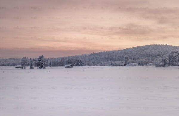 Snow-covered field with barns and forested hill at sunrise
