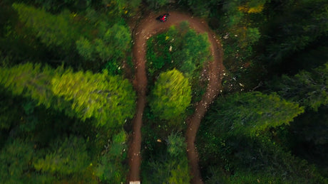 Mountain Biker Riding Downhill on a Winding Dirt Trail in a Forest
