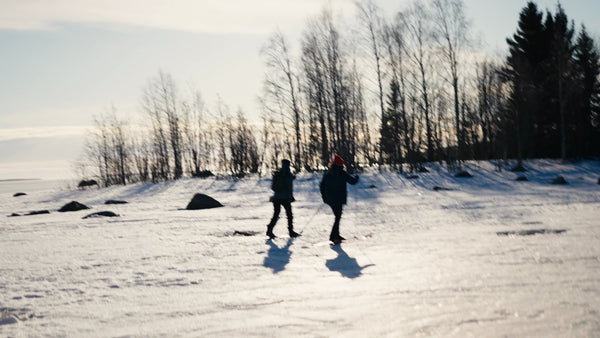 Winter Cross-Country Skiing in the Luleå Archipelago, Sweden