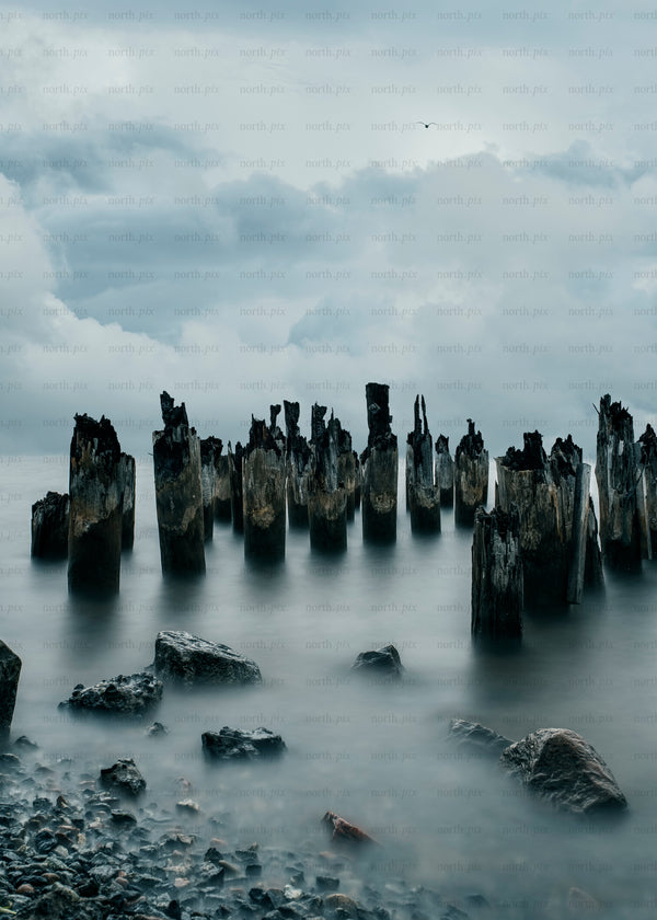 Weathered wooden pilings on rocky shore under cloudy sky