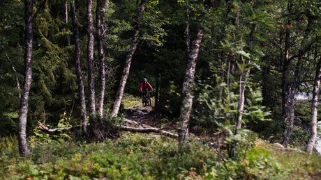 Mountain Biker Rides Downhill Trail Beside Waterfall in Forest