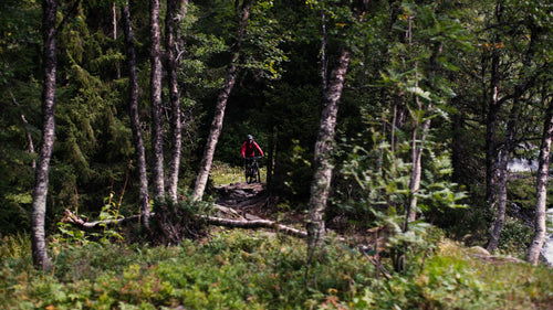 Mountainbiker rider nedförsbacke bredvid vattenfall i skogen