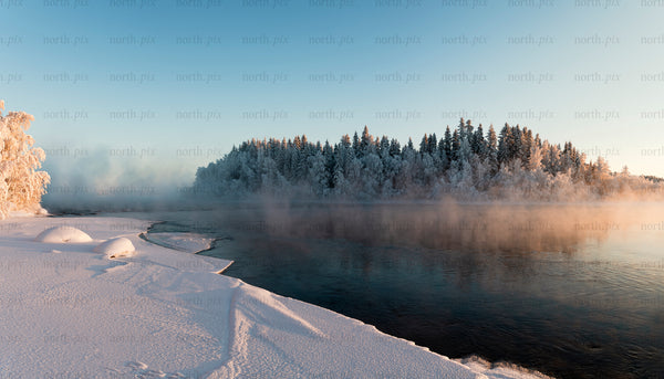 Snow-covered riverbank and forest island in winter morning