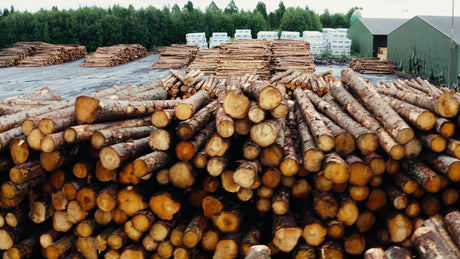 Aerial View of Log Stacks in Lumber Yard: Forestry Industry and Deforestation