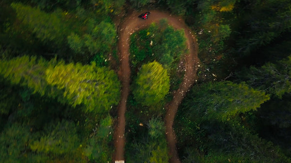 Mountain biker riding downhill on a winding dirt trail in a forest
