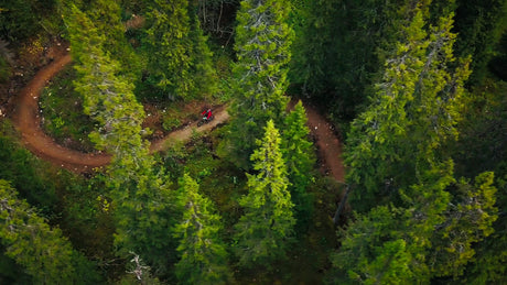 Mountain Biker Riding Downhill on Winding Forest Trail