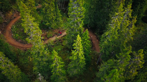 Mountainbiker som cyklar nedför en slingrande skogsstig