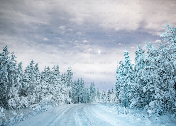 Snow-covered forest road in winter evening under cloudy sky