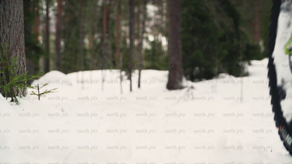 Fatbiking through snowy forest trail in Luleå, winter adventure