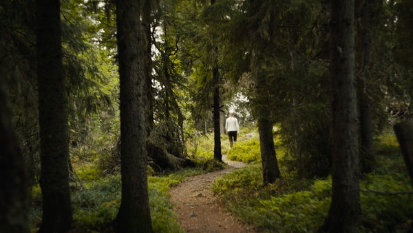 Summer hike in Luleå: Person walks forest path