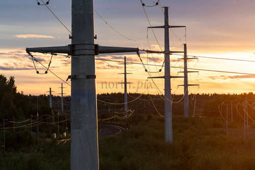 Power lines and concrete poles at sunset