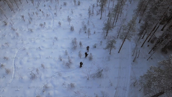 Snowshoeing in Gunnarsbyn: Friends exploring a winter wonderland