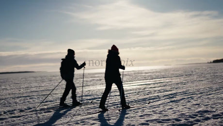 Cross-Country Skiing in Winter, Luleå, Sweden: A Sunny Day on the Frozen Sea