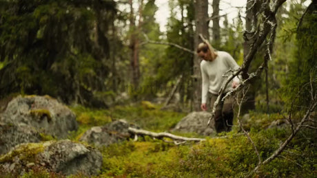 Woman Picking Berries in a Summer Forest in Luleå, Sweden