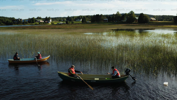 Crayfish fishing on a calm lake in Luleå, during a summer day