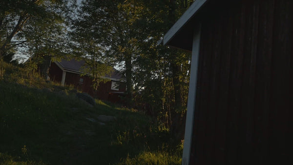 Summer evening in Luleå archipelago: Red cabin by the water