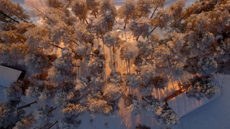 Winter Sunset Over Gunnarsbyn: Aerial View of Snowy Forest and Frozen Lake