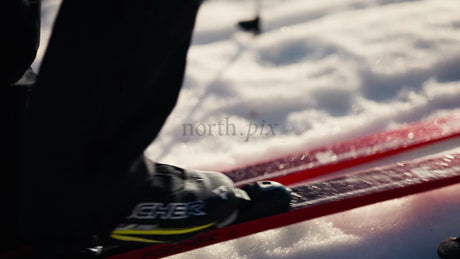 Cross-Country Skiing in Luleå, Sweden: A Sunny Winter Day in the Forest